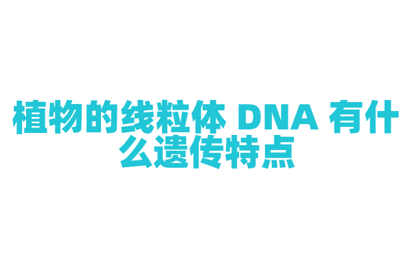 植物的线粒体 DNA 有什么遗传特点？
